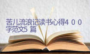 苦儿流浪记读书心得400字范文5篇
