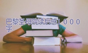 巴黎圣母院读后感1000字