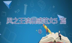 风之王读后感范文5篇