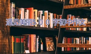 遇见美丽500字初中作文