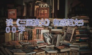 读《三国演义》有感范文500字