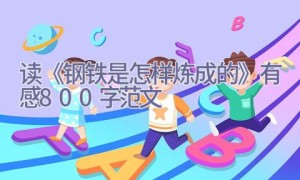 读《钢铁是怎样炼成的》有感800字范文