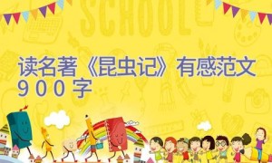 读名著《昆虫记》有感范文900字
