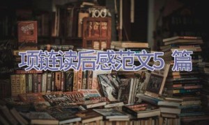 项链读后感范文5篇