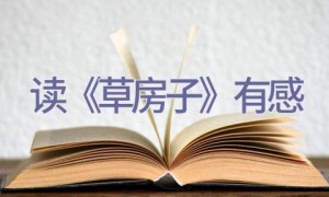 读《草房子》有感
