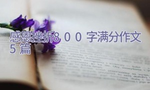 感恩挫折800字满分作文5篇
