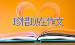 珍惜现在作文