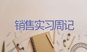 销售实习周记