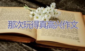 那次玩得真高兴作文