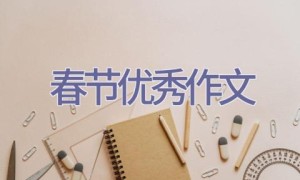 春节优秀作文