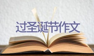 过圣诞节作文