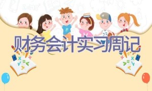 财务会计实习周记