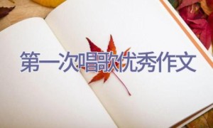 第一次唱歌优秀作文
