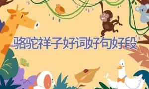 骆驼祥子好词好句好段