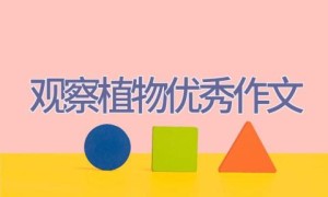 观察植物优秀作文