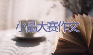 小品大赛作文