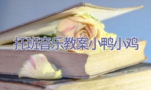托班音乐教案小鸭小鸡