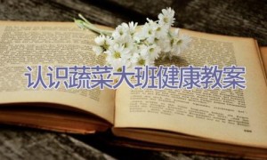 认识蔬菜大班健康教案
