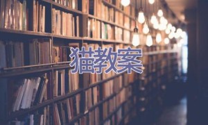 猫教案