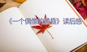 《一个偶像的黄昏》读后感