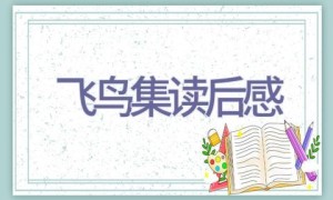 飞鸟集读后感