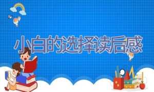 小白的选择读后感