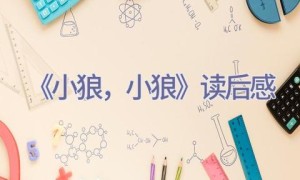 《小狼，小狼》读后感