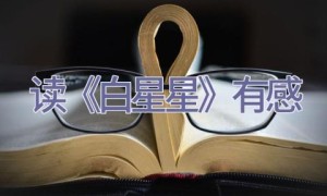 读《白星星》有感