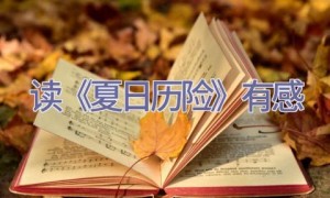 读《夏日历险》有感