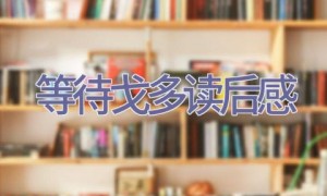 等待戈多读后感