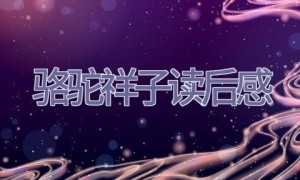 骆驼祥子读后感