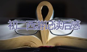 初二西游记读后感