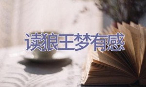 读狼王梦有感