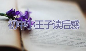 初中小王子读后感