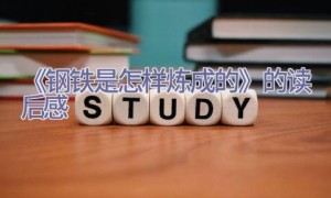 《钢铁是怎样炼成的》的读后感