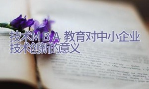 技术MBA教育对中小企业技术创新的意义
