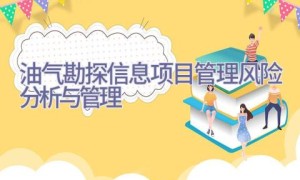 油气勘探信息项目管理风险分析与管理