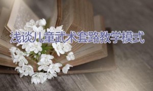 浅谈儿童武术套路教学模式
