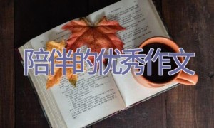 陪伴的优秀作文