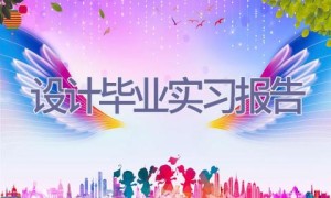 设计毕业实习报告