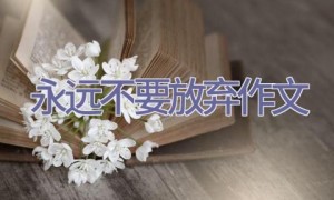 永远不要放弃作文