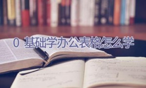 0基础学办公表格怎么学