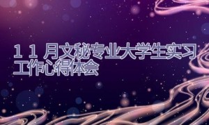 11月文秘专业大学生实习工作心得体会