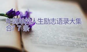 2023年简单的人生励志语录大集合77条