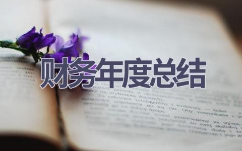 财务年度总结(19篇范文）插图