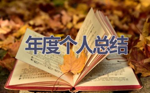 年度个人总结(21篇范文）插图