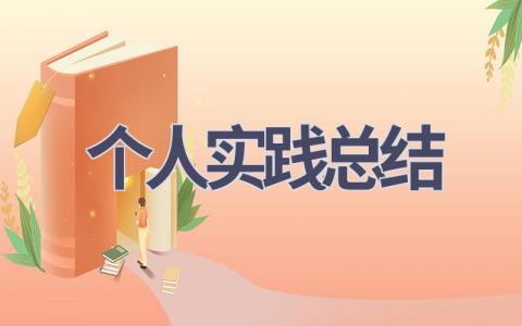个人实践总结(19篇范文）插图