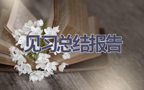 见习总结报告(6篇范文）插图