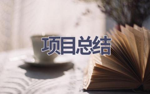 项目总结(21篇范文）插图