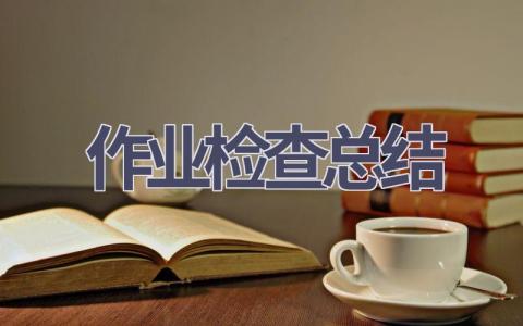 作业检查总结(8篇范文）插图